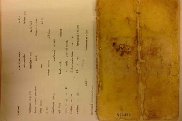 กะป้อ Honda TN7