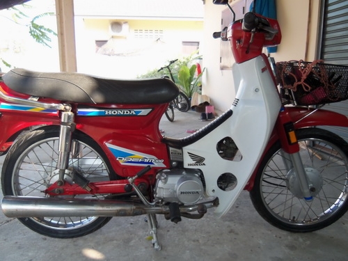 ขายดรีม100สต๊าดมือ