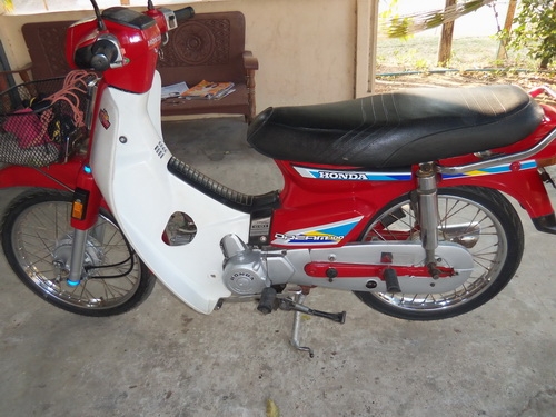 ขายดรีม100สต๊าดมือ