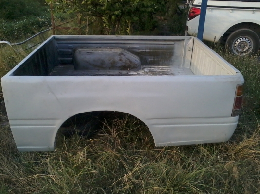 ขายลูกกะบะมังกรทองแค็ป กะบะแท้ ขายลูกละ 5500