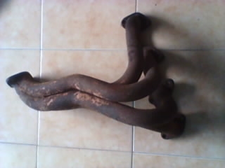 เฮดเดอร์ tfr  ปากแตรลม