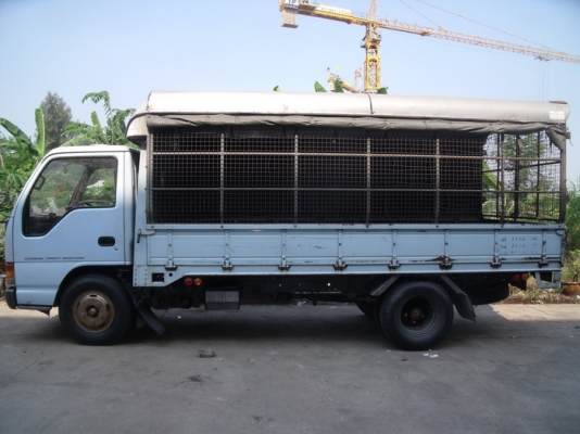 ขาย Isuzu NKR 6ล้อ หัวการ์ตูน รถห้าง ยาว4.50ม. ปี96.