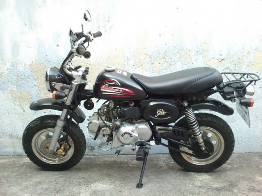 ขาย มั๊งกี้ ทะเบียนแท้ ยี่ห้อ Stallions ปี 55 ราคา 28,900 บาท