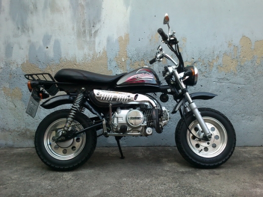 ขาย มั๊งกี้ ทะเบียนแท้ ยี่ห้อ Stallions ปี 55 ราคา 28,900 บาท