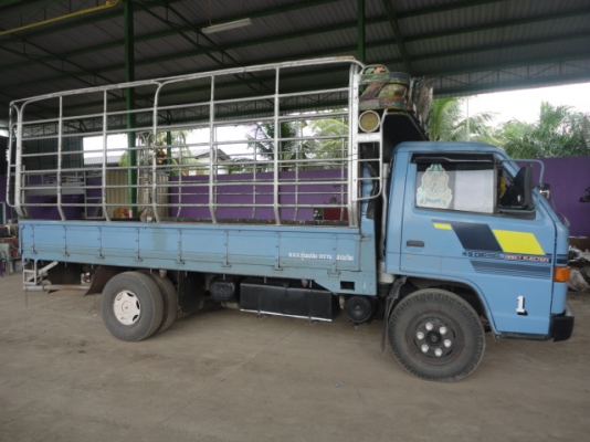 6 ล้อ ISUZU NPR 115 แรง เครื่อง 4BD1 เกียร์สั้น รถห้างแท้มือเดียว