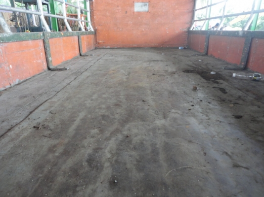 6 ล้อ ISUZU NPR 115 แรง เครื่อง 4BD1 เกียร์สั้น รถห้างแท้มือเดียว