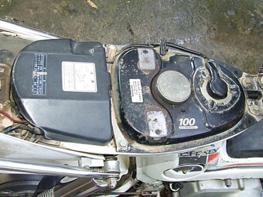 ชาลีเดิม ทะเบียนแท้