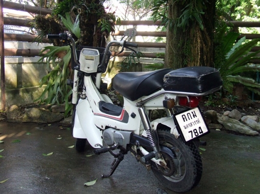 ชาลีเดิม ทะเบียนแท้