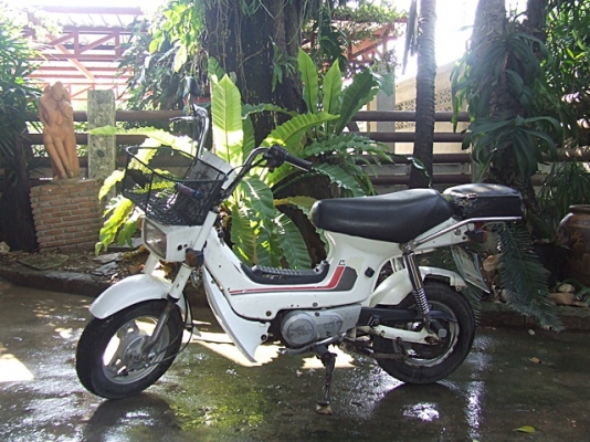 ชาลีเดิม ทะเบียนแท้