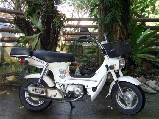 ชาลีเดิม ทะเบียนแท้