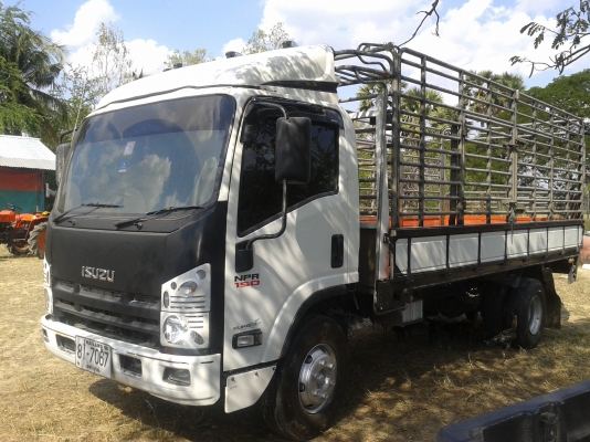 ขาย ISUZU 150 แรง ปี 51 พร้อมใช้ ขาย ISUZU 150 แรง ปี 51 พร้อมใช้
