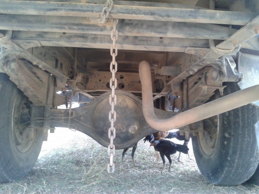 ขาย ISUZU 150 แรง ปี 51 พร้อมใช้ ขาย ISUZU 150 แรง ปี 51 พร้อมใช้