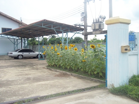 ขายถูก โรงงานพร้อมที่ดิน 2 ไร่ 2 งาน 48 ตารางวา พร้อมอาคารพักอาศัย 2 ชั้น อ.บ้านโป่ง จ.ราชบุรี