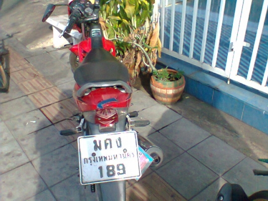 ขาย SONIC ตัวใหม่แท้สตาร์ทเท้า ขาย SONIC ตัวใหม่แท้สตาร์ทเท้า