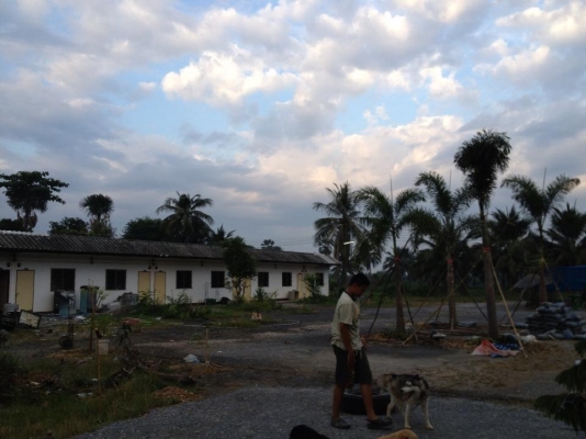 ที่ดินติดถนนสองด้าน มีห้องเช่า รายได้ดี ใกล้แหล่งโรงงาน สนามกอลฟ์