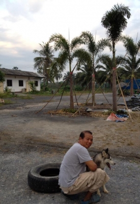 ที่ดินติดถนนสองด้าน มีห้องเช่า รายได้ดี ใกล้แหล่งโรงงาน สนามกอลฟ์