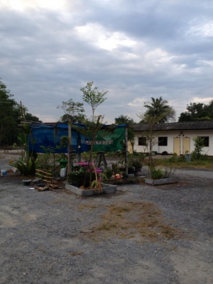 ที่ดินติดถนนสองด้าน มีห้องเช่า รายได้ดี ใกล้แหล่งโรงงาน สนามกอลฟ์