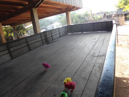 -ขายไอ้หนุ่มทางหลวงเครื่อง 85  แรงสวยพร้อมใช้ถูกๆ