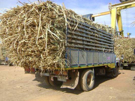 รถหัวยาวอีซูซุ 125แรง