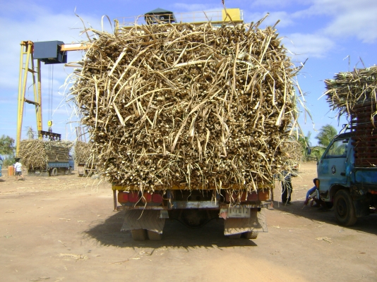 รถหัวยาวอีซูซุ 125แรง