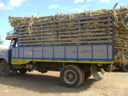 รถหัวยาวอีซูซุ 125แรง