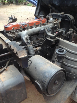 NPR 115 เปลี่ยนเครื่องใหม่ แรงสะใจ รถพร้อมใช้เจ้าของขายเอง NPR 115 เปลี่ยนเครื่องใหม่ แรงสะใจ รถพร้อมใช้เจ้าของขายเอง