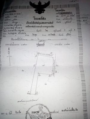 ต้องการขายที่ดินมีโฉนดพร้อมโอนไร่ล่ะ180000 จำนวน20 ไร่เศษ