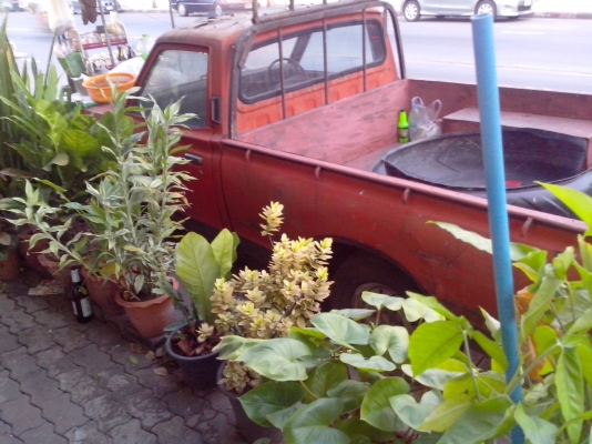 ขายดัสสันช้างเยีบ 19000