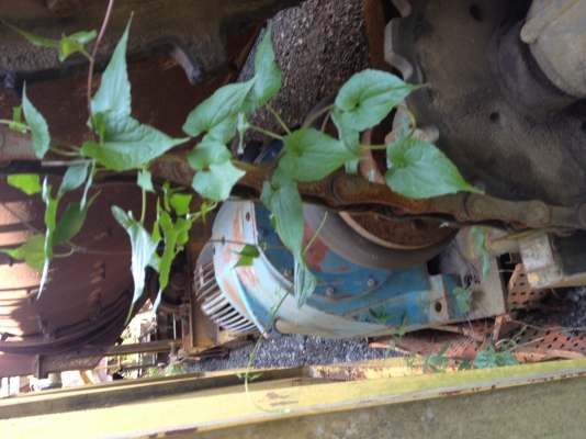 ขายแพล้นท์ยางแอสฟัลติค ยี่ห้อ Nikko รุ่น NAP1500 สภาพสวย