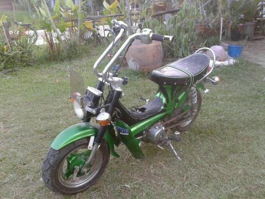 ขาย ชาลี แต่งยุ่น