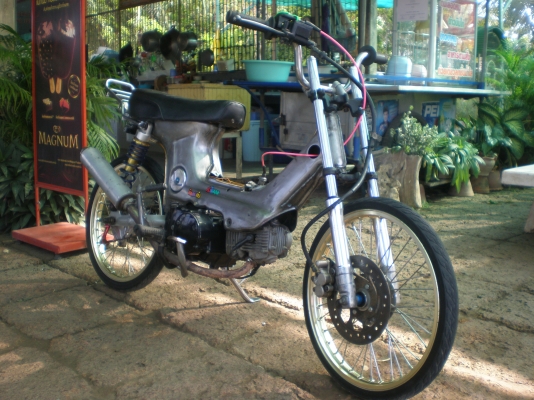 ขอขาย ชาลี (งานไม่สุก) ขายตามสภาพ ขี่ได้ปกติ