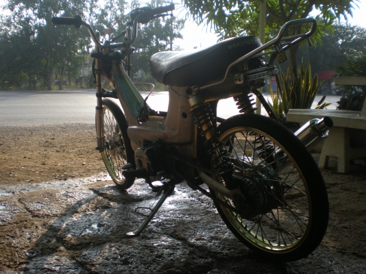 ขอขาย ชาลี (งานไม่สุก) ขายตามสภาพ ขี่ได้ปกติ