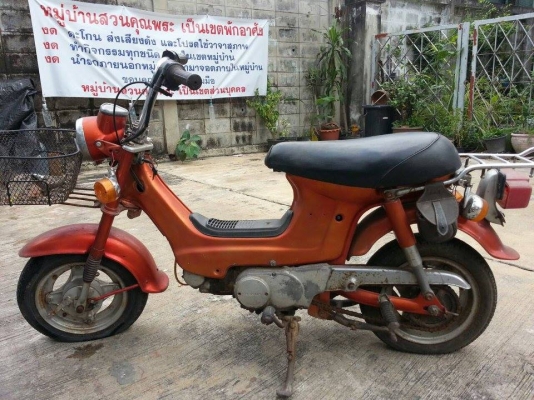 ชาลี เดิมๆ จอดนาน ชาลี เดิมๆ จอดนาน