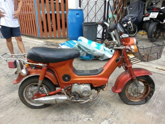 ชาลี เดิมๆ จอดนาน ชาลี เดิมๆ จอดนาน