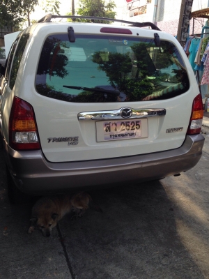 ขายมาสด้า tribute 3.0