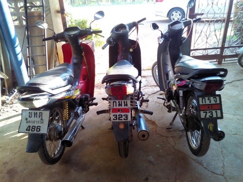 เวฟ100/110 สองคัน