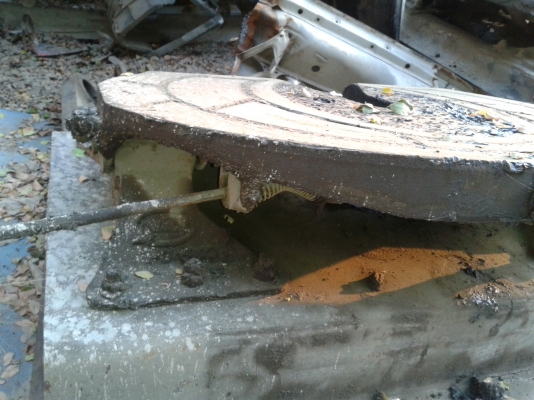 ขายจานหน้าวัว HOLLAND ถูกๆเลย 5000 ขายจานหน้าวัว HOLLAND ถูกๆเลย 5000