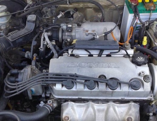 ขาย civic ตาโต