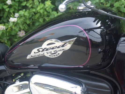 ขาย STEED 400 ปี93 เก็บงานใหม่ เครื่องดีสีสวย ทะเบียนแท้