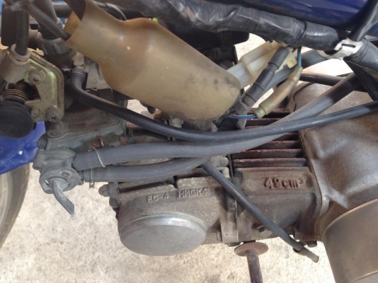 ขายหรือแลก c50 super cup รถญี่ปุ่นซื้อไปใช้งานได้เลยเครื่องดีมาก ขายหรือแลก c50 super cup รถญี่ปุ่นซื้อไปใช้งานได้เลยเครื่องดีมาก