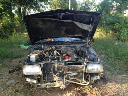 ขายchamp ราคา 15000 บาท