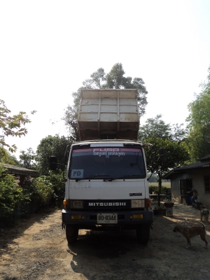 ขายไอ้หลง MA