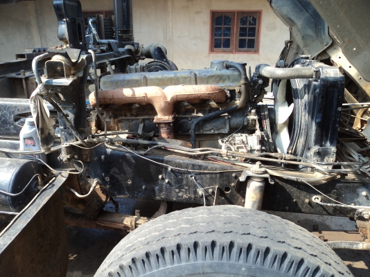 ขายไอ้หลง MA