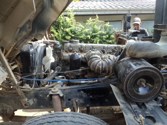 ขายไอ้หลง MA