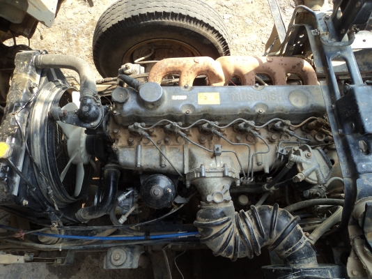 ขายไอ้หลง MA