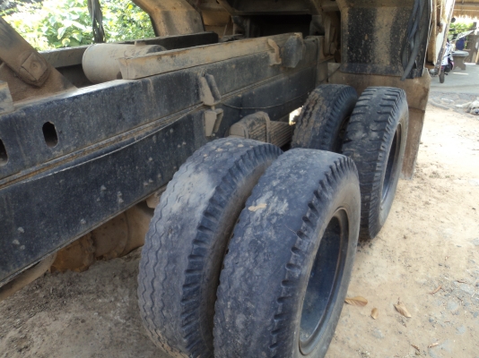 ขายไอ้หลง MA