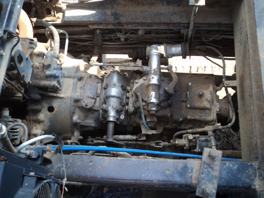 ขายไอ้หลง MA