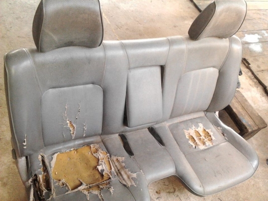 เบาะ  mazda fighter