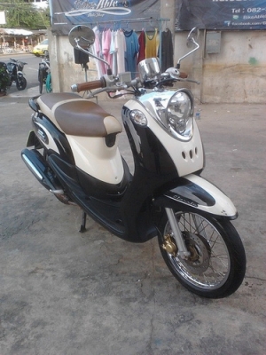 ขาย Fino ลายคลาสสิค สวยๆเดิมๆราคาถูกครับ