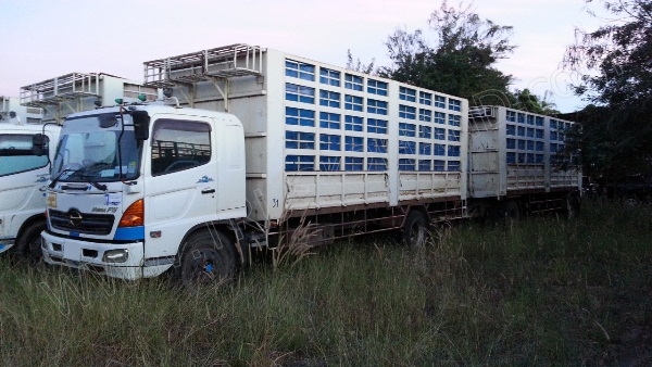 รถบรรทุกพ่วงแม่-ลูก ยี่ห้อ HINO รุ่นFG1J (มีทั้งหมด 9 พ่วง) รถบรรทุกพ่วงแม่-ลูก ยี่ห้อ HINO รุ่นFG1J (มีทั้งหมด 9 พ่วง)